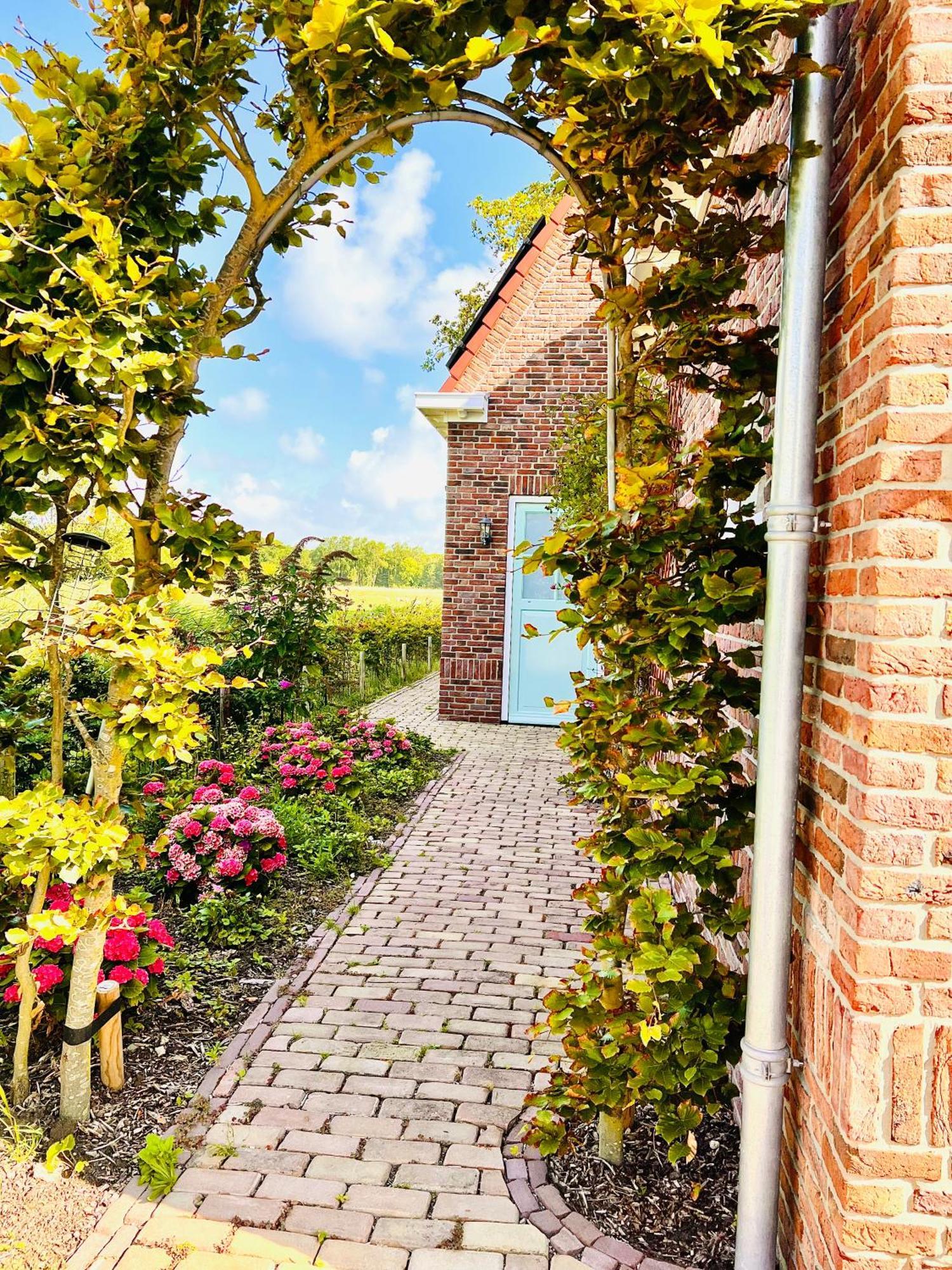 & Forest Retreat -domburg- Oostkapelle